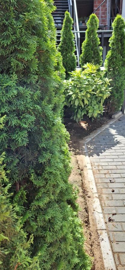 Apartament Zivkovic Leskovac (Jablanica)